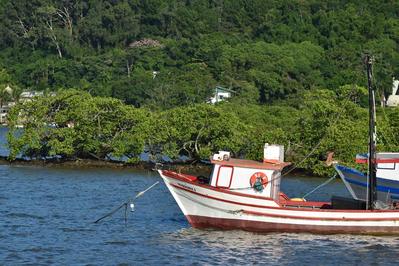 Barco de pesca ancorado no Saco da Fazenda, em Itajaí